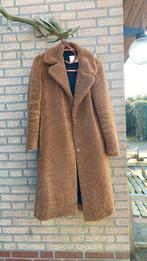 Winterjas ZARA z.g.a.n., Ophalen of Verzenden, Zo goed als nieuw, Maat 38/40 (M)