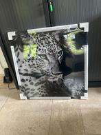 Schilderij luipaard c vk wilde life, Huis en Inrichting, Woonaccessoires | Schilderijen, Tekeningen en Foto's, Minder dan 50 cm