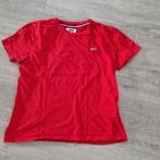 Tommy Hilfiger t shirt maat s rood, Kleding | Dames, Overige Dameskleding, Ophalen of Verzenden, Zo goed als nieuw