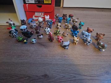 Littelpetshop costumized poppetjes  beschikbaar voor biedingen