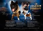American Akita FCI, Dieren en Toebehoren, België, Rabiës (hondsdolheid), Overige rassen, 8 tot 15 weken