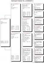 24 Top kweker van postduiven met zeer goede afstamming, Vrouwelijk, Postduif
