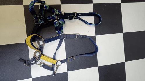Halsters als nieuw, Dieren en Toebehoren, Paarden en Pony's | Hoofdstellen en Tuigage, Zo goed als nieuw, Overige soorten, Ophalen of Verzenden