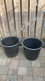 2x Boomcontainer/kuip, Tuin en Terras, Bloembakken en Plantenbakken, Ophalen, Kunststof, Gebruikt, Minder dan 60 cm