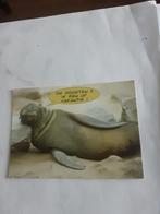 DE GROETEN !!   IK BEN OP  VAKANTIE!, Ophalen of Verzenden, 1960 tot 1980