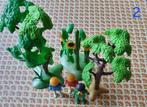 Playmobil boom en zonnebloem, Kinderen en Baby's, Speelgoed | Playmobil, Ophalen of Verzenden, Gebruikt, Los playmobil