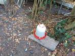 Waterbak kippen, Ophalen, Nieuw, Drinken en Voederen