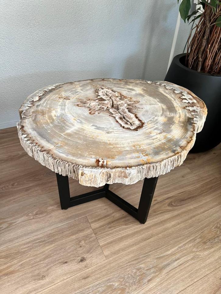 prachtige bijzettafel van versteend hout 20 miljoen jaar oud, Verzamelen, Mineralen en Fossielen, Fossiel, Ophalen of Verzenden