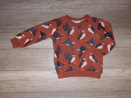 Een Super Stoere Jongens Trui Van Sturdy Maat 104, Kinderen en Baby's, Kinderkleding | Maat 104, Zo goed als nieuw, Jongen, Trui of Vest
