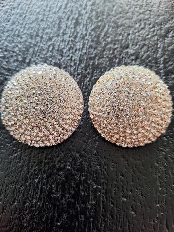 Mooie grote oorbellen. beschikbaar voor biedingen