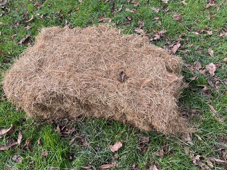 Hooibalen, Dieren en Toebehoren, Dierenvoeding, Ophalen