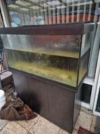 Juwel 350, Dieren en Toebehoren, Ophalen, Leeg aquarium