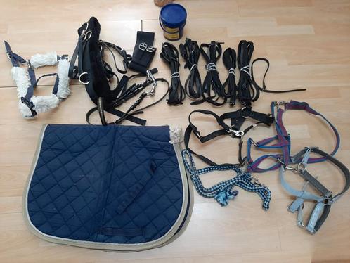 Doos vol paardenspullen, Dieren en Toebehoren, Paarden en Pony's | Overige Paardenspullen, Gebruikt, Overige soorten, Ophalen of Verzenden