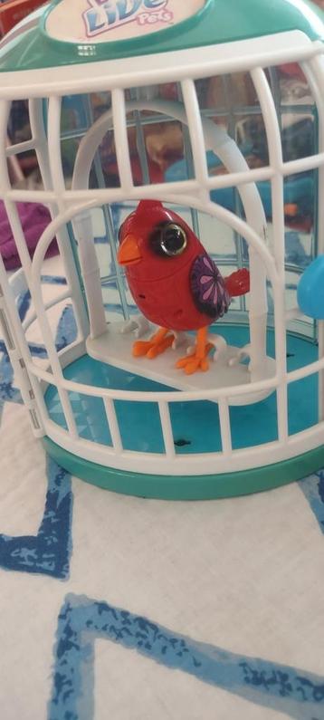 Vogeltje in kooi kan fluiten  beschikbaar voor biedingen