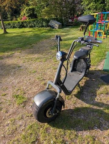 tante Paula. electrische scooter zonder batterij beschikbaar voor biedingen