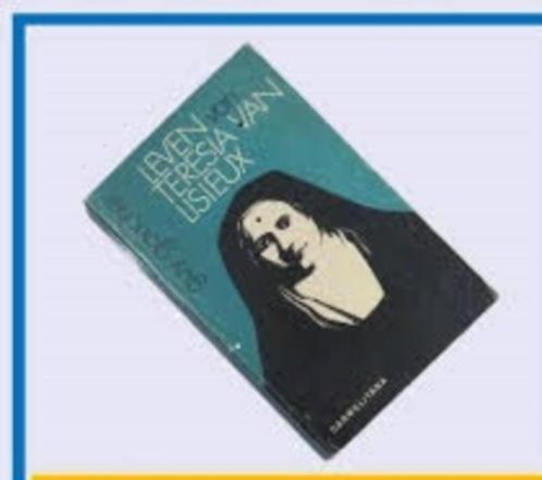 Guy Gaucher Leven van Teresia van Lisieux, Boeken, Godsdienst en Theologie, Zo goed als nieuw, Ophalen of Verzenden