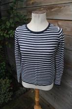 Dunne Trui donkerblauw Massimo Dutti mt S Vaste prijs, Kleding | Dames, Truien en Vesten, Massimo Dutti, Blauw, Ophalen of Verzenden