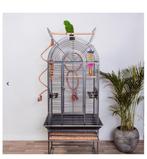 Vogel kooi, Dieren en Toebehoren, Ophalen, Zo goed als nieuw, Metaal, Vogelkooi