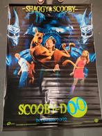 Scooby Doo Shaggy Vinyl poster / banner, Ophalen of Verzenden, Gebruikt, Poster
