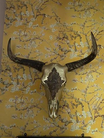 Prachtige wanddecoratie MichaelNoll Stierkop beschikbaar voor biedingen