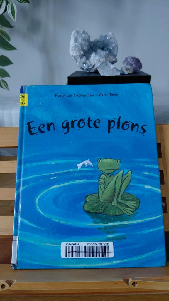 Een grote plons - Pieter van Oudheusden, Boeken, Informatica en Computer, Gelezen, Ophalen of Verzenden