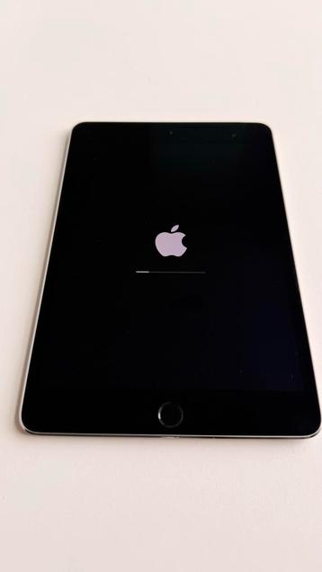 iPad Mini 4 128GB LTE - Goed Werkend! beschikbaar voor biedingen