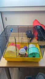 Hamster kooi gratis ophalen!, Dieren en Toebehoren, Knaagdieren en Konijnen | Hokken en Kooien, Kooi, Zo goed als nieuw, Ophalen