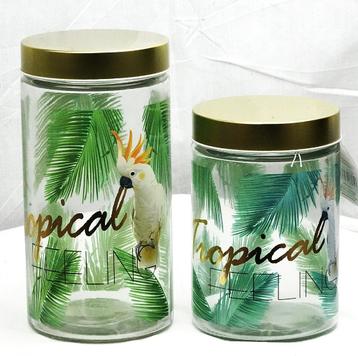 Twee tropische glazen voorraadpotten beschikbaar voor biedingen