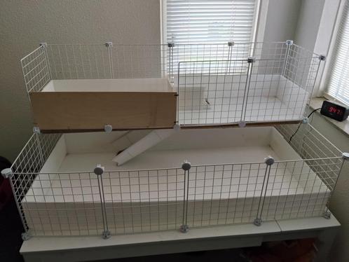 Draadkubus kooi cavias groot, Dieren en Toebehoren, Knaagdieren en Konijnen | Hokken en Kooien, Gebruikt, Kooi, 60 tot 90 cm, 110 cm of meer