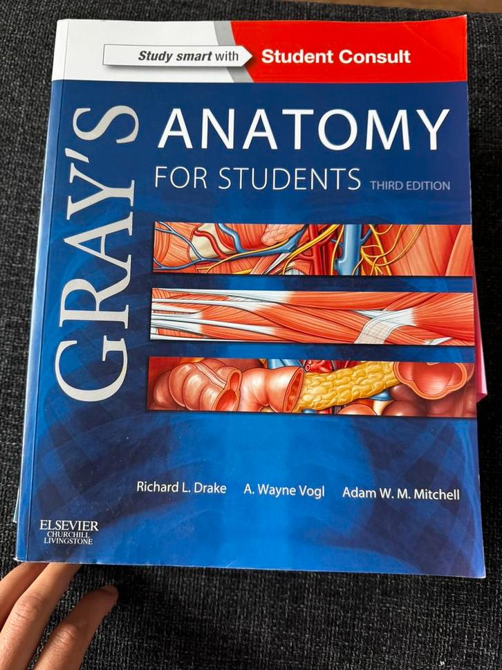 Gray's Anatomy for Students 3e: With Student Consult Online, Boeken, Esoterie en Spiritualiteit, Zo goed als nieuw, Instructieboek