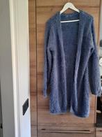 Dames vest in lavendel paars mt M, Kleding | Dames, Truien en Vesten, Ophalen of Verzenden, Zo goed als nieuw, Maat 38/40 (M)