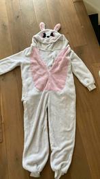 Konijnen verkleed onsie, Ophalen of Verzenden, Gedragen