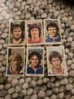 Ajax panini vanderhout 1979-1980, Verzenden, Zo goed als nieuw, Buitenlandse clubs, Poster, Plaatje of Sticker