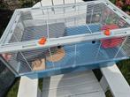Hamster of cavia kooi, Kooi, Gebruikt, Hamster, 75 tot 110 cm