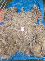 nr 7 Geschoren vacht van een Drents Heideschaap, Ophalen of Verzenden, Overige typen