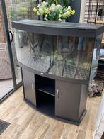 Aquarium 240 liter, Dieren en Toebehoren, Vissen | Aquaria en Toebehoren, Ophalen, Leeg aquarium