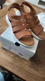 Mooi Sandalen Geox maar 40.Nooit Gedragen, Kinderen en Baby's, Babykleding | Schoentjes en Sokjes, Ophalen of Verzenden, Zo goed als nieuw