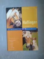Haflinger, Ophalen of Verzenden, Gelezen, Paarden of Pony's