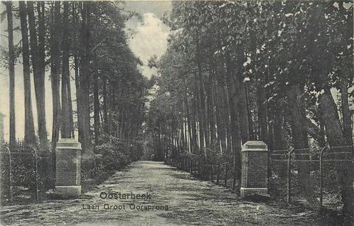 (387-161-013) Oosterbeek Laan Groot Oorsprong, Verzamelen, Ansichtkaarten | Nederland, Gelderland, Verzenden