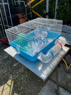 1 mooie   Hamsters kooi met veel attributen, Kooi, Hamster, Minder dan 75 cm, Zo goed als nieuw