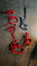 GRATIS - verschillende huisdier tuigjes oa voor katten, Ophalen, Zo goed als nieuw