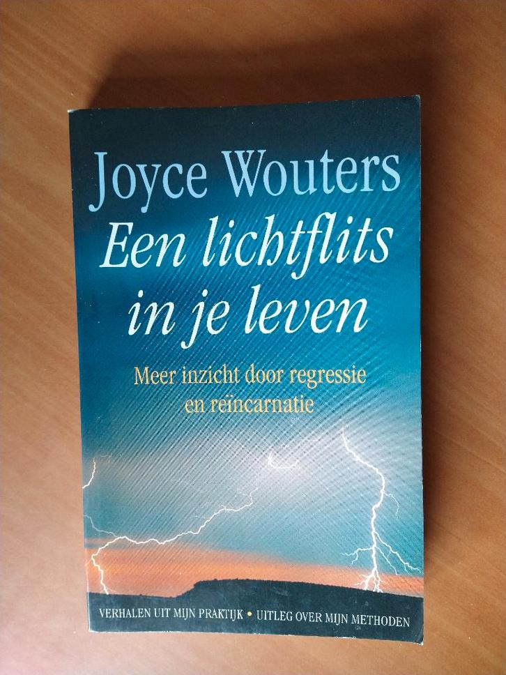 Wouters, Joyce. Een lichtflits in je leven, Boeken, Economie, Management en Marketing, Gelezen, Management, Ophalen of Verzenden