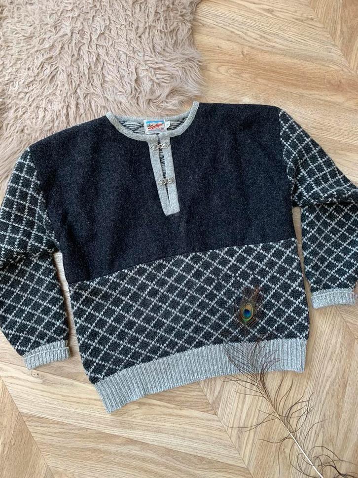 Sportique wollen trui S M wool jumper, Kleding | Heren, Truien en Vesten, Nieuw, Maat 46 (S) of kleiner, Grijs, Ophalen of Verzenden