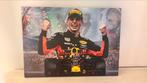 Max Verstappen Red Bull canva poster formule 1, Ophalen, Zo goed als nieuw, Rechthoekig Staand, Sport
