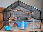 Hamster verblijf, Ophalen, Kooi, Hamster, Minder dan 60 cm