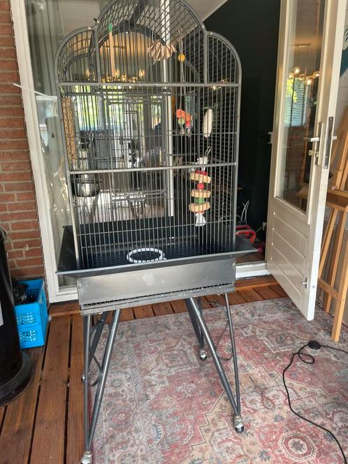 Mooie grote vogelkooi, Dieren en Toebehoren, Vogels | Hokken en Kooien, Zo goed als nieuw, Vogelkooi, Metaal, Ophalen
