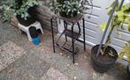 Oud Uitklapbaar Huishoudtrapje, Ophalen, Gebruikt, Binnen, Minder dan 60 cm
