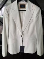 NIEUW Cavallaro wit katoenen dames colbert 40, Maat 38/40 (M), Wit, Cavallaro, Nieuw