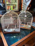 2 picolet kooitjes Surinaamse zangvogelkooitjes, Ophalen, Gebruikt, ., .