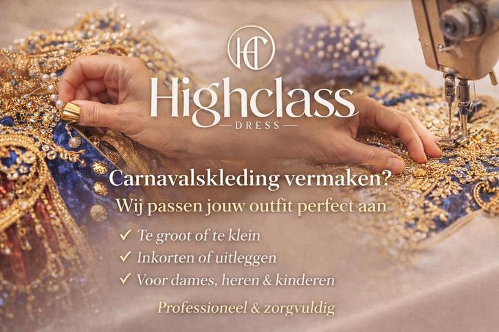 Carnavalskleding laten vermaken?, Kleding | Dames, Carnavalskleding en Feestkleding, Zo goed als nieuw, Carnaval, Ophalen of Verzenden
